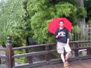Rain, again * 600 x 450 * (223KB)